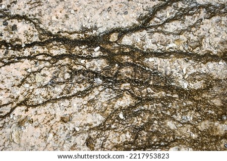 Unique texture on rocks at Yellowstone National Park. Download now!