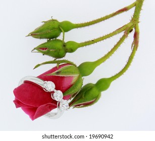 unique three stone diamond ring with red rose