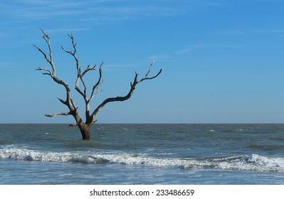 Unique Tree 