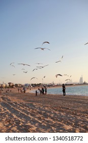 United Arab Emirates, Dubai - March 8, 2019: At Jumeirah Beach Where Random People Was Enjoying Feeding Some Birds  After Dubai Food Festival.