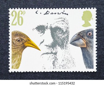 UNITED KINGDOM-Â? CIRCA 1982: A Postage Stamp Printed In United Kingdom Showing An Image Of Charles Darwin And Galapagos Finches, Circa 1982.