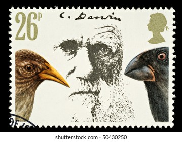 UNITED KINGDOM - CIRCA 1981: A British Used Postage Stamp Showing Charles Darwin And Finches, Circa 1981