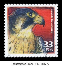 UNITED STATES OF AMERICA - CIRCA 2000 : A Stamp Printed In USA Shows Peregrine Falcon, Recovery Of Endangered Species, Series Celebrate The Century, 1990s, Circa 2000.
