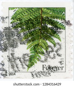 UNITED STATES OF AMERICA - CIRCA 2014: Forever Post Stamp Printed In US (USA) Shows Soft Shield Fern (polystichum Setiferum) On White Background; Scott 4875; Circa 2014