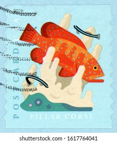 UNITED STATES OF AMERICA - CIRCA 2019: Postcard Stamp Printed In US (USA) Shows Pillar Coral With Coney Grouper And Neon Gobies; Coral Reefs; Scott 5365 Blue Red; Circa 2019