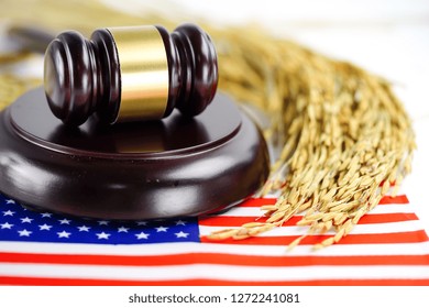 United States Of America USA Flag And Judge Hammer With Jasmine White Rice With Gold Grain From Agriculture Farm. Law And Justice Court Concept.
