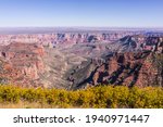 United States. Arizona. Coconino County. Grand Canyon National Park. Overlook from Roosevelt Point. The "Painted Desert Overlook" was renamed in 1990s in honour of Theodore Roosevelt. F