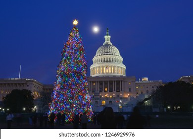 United States Capitol Building And Christmas Tree At Night - Washington DC United States Of America