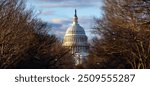 United States Capitol Building - Washington DC United States. American congress.