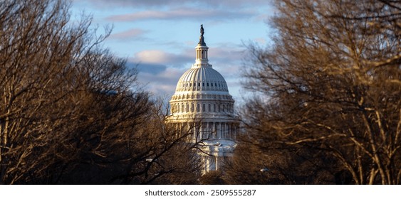 United States Capitol Building - Washington DC United States. American congress. - Powered by Shutterstock