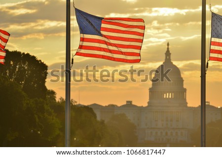 United States Capitol dome silhouette and the national flags of U.S.  rounding Washington Monument during a misty sunrise - Washington D.C. United States of America