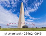 United States flags around the Washington Monument in Washington DC