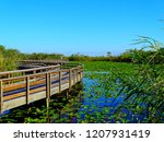 United States, Florida, Miami-Dade County, Everglades National Park, Anhinga Trail