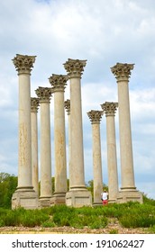 United States National Arboretum Columns In Washington DC, USA