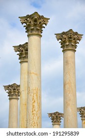 United States National Arboretum Columns In Washington DC, USA