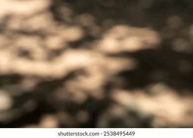 Universal blurry background with tree leaf shadows on dirt floor.