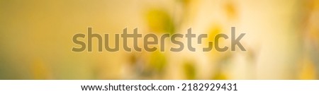 Universal Linkedin banner for people of any profession with a yellow floral background in the bokeh