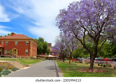 University Of Adelaide Campus In Australia