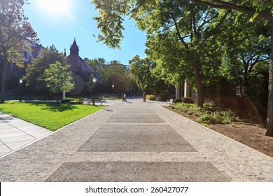 University campus on a sunny day in early Fall.
