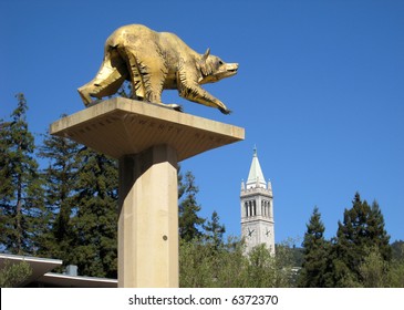 University Campus UC Berkeley, California, with golden bear and campanile visible.
