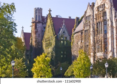 University Of Chicago