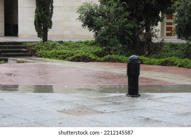  University, College Circular Center Park Surrounded By Green Trees In  An Autumn Rainy Day 
