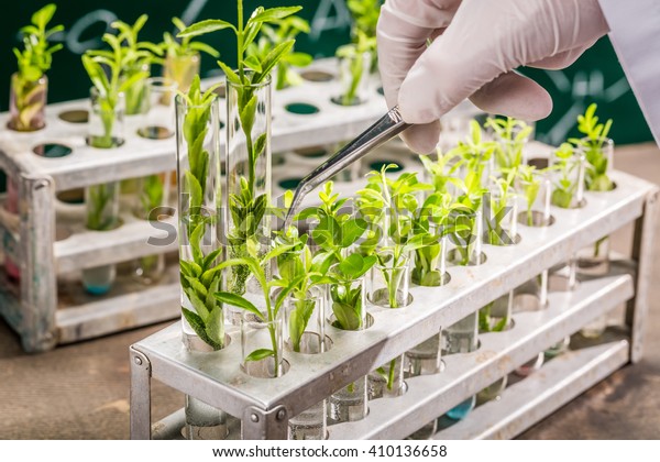 University\
lab exploring new methods of plant\
breeding