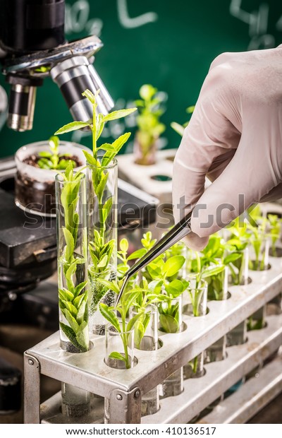 University\
laboratory testing of pesticides on\
plants
