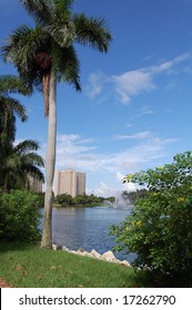 University Of Miami Campus