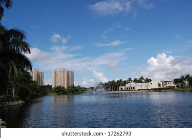 University Of Miami Frost School Of Music