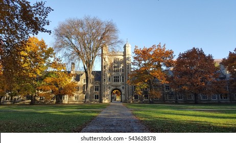 University Of Michigan