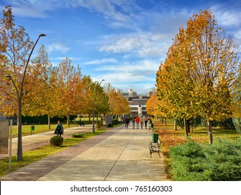 University Park. Podgorica, Montenegro.