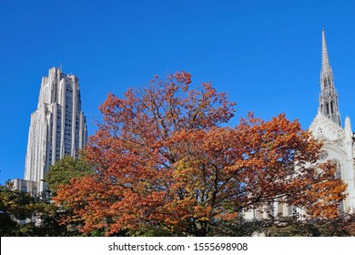 University of Pittsburgh campus with fall colors, Cathedral of Learning and chapel