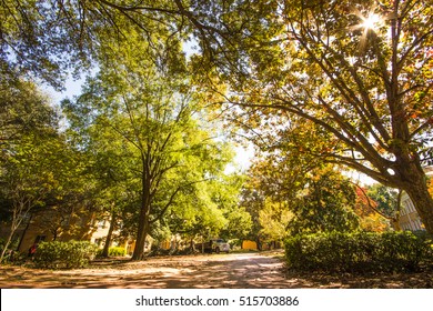 University Of South Carolina Campus
