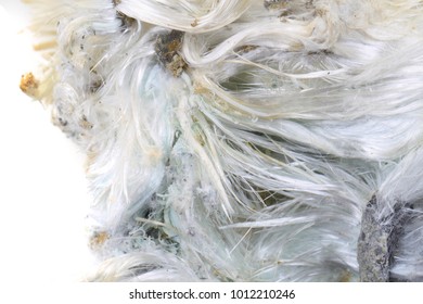 Unknown Asbestos Mineral As Nice Mineral Background