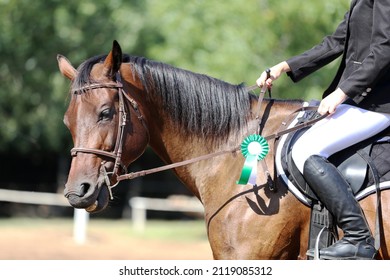 Unknown Competitor Ride On A Sport Horse On Equitation Event At Summertime Outdoors. Show Jumper Horse Wearing Colorful Award Ribbon. Equestrian Sports