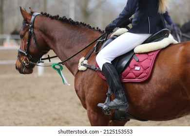 Unknown Competitor Ride On A Sport Horse On Equitation Event At Summertime Outdoors. Show Jumper Horse Wearing Colorful Award Ribbon. Equestrian Sports