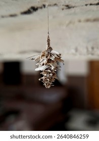 unknown object hanging in the daytime