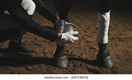 an unknown person with gloves in the dark bandages a horse's legs. High-quality photo