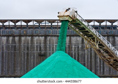 Unloading Green, Dry Bulk, Cargo At A Grain Elevator.