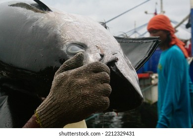 Unloading Tuna At General Santos Fish Wharf