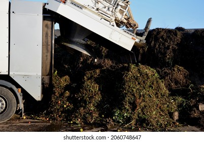 Unloads Bio-waste From A Garbage Truck. The Man Has Opened The Lid And Will Tip The Contents Of The Cargo At The Composting Plant. Branches And Leaves Which Is Biodegradable Waste