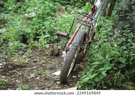 An unmaintained old bicycle rusts in the yard and is stored in front of the house. 