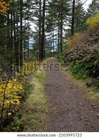 Unpaved trail through a pine and deciduous forest in the Columbia River Gorge National Scenic Area in Oregon in autumn.