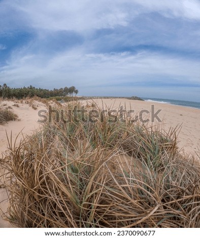 Similar – Foto Bild Ostseestrand in Polen