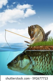 Unpredictable Result Concept, Chipmunk Fishing On Fish