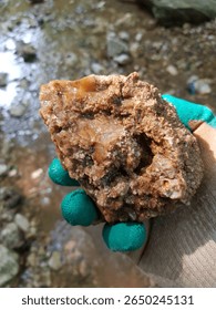 Unprocessed sample of chalcedony in hand found in a ravine, field photo