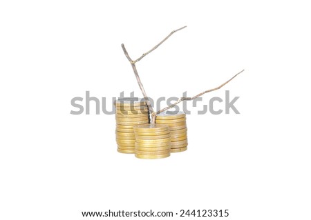 Unprofitable or loss investment concept - Stack of golden coins and dead plant isolated on white.