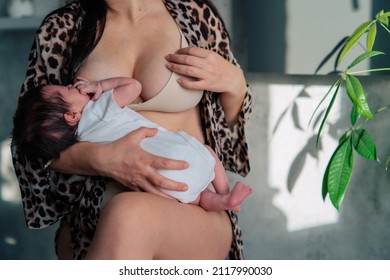Unrecognisable mother in leopard dressing-gown and beige bra breastfeed newborn baby in white bodysuit holding on arms sitting near houseplant at home. Breastfeeding, motherhood, love, family concept