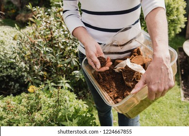 Unrecognisable Woman In Casual Clothing Holding A Box Of Used Coffee Ground To Use As Compost In Her Garden.